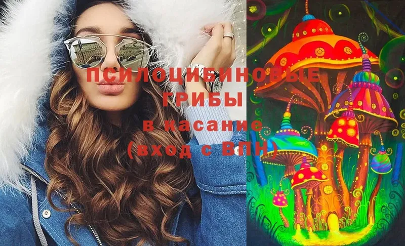 Галлюциногенные грибы MAGIC MUSHROOMS  ссылка на мегу зеркало  Елабуга  закладка 